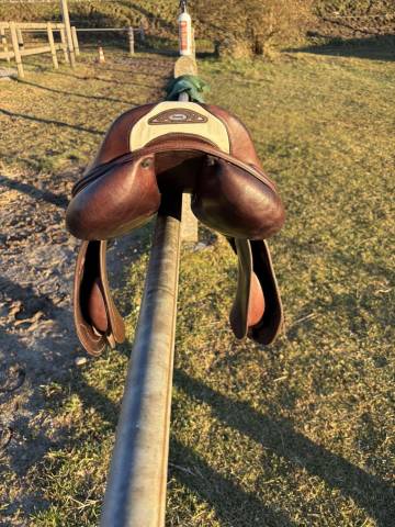 Sella da salto ostacoli Prestige Italia  17" - 2018