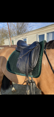 Sella da dressage CWD  17" - 2017