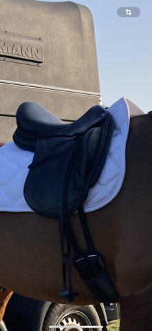 Sella da dressage CWD  17" - 2017