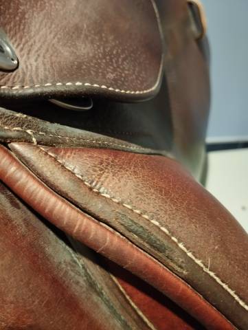 Sella da salto ostacoli CWD  17.5" - 2019