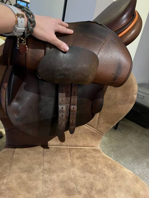 Sella da salto ostacoli Childeric  17.5" - 2021