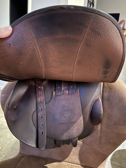 Sella da salto ostacoli Childeric  17.5" - 2021