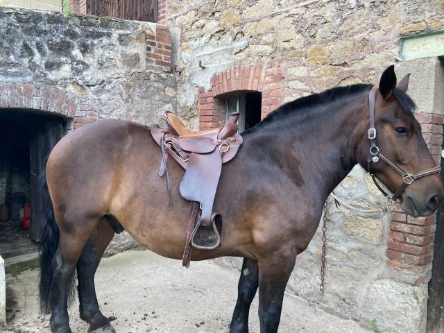 Sella da trekking  Cathare 17.5" - 2010