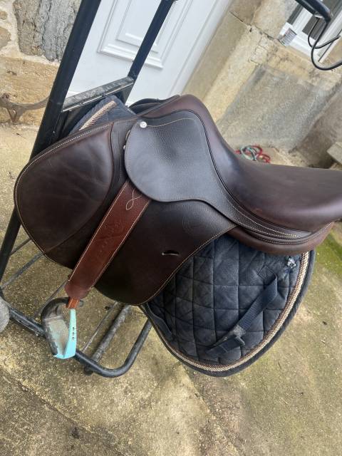 Sella da salto ostacoli Antarès  17" - 2019