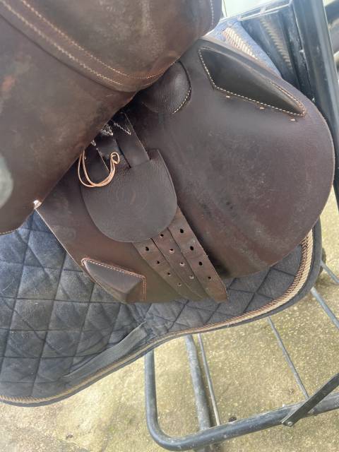 Sella da salto ostacoli Antarès  17" - 2019