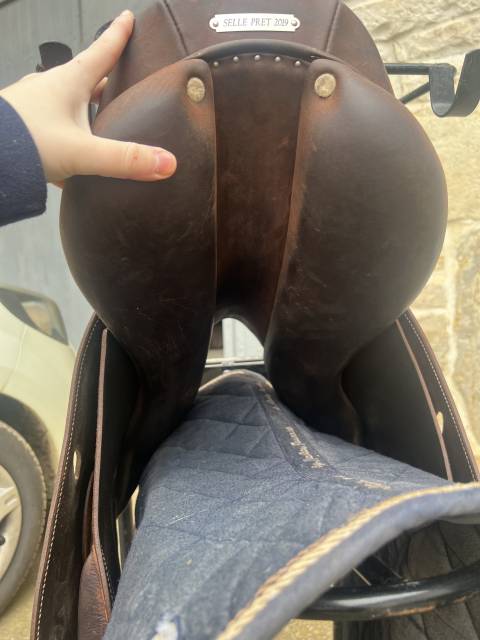 Sella da salto ostacoli Antarès  17" - 2019