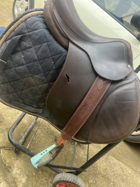 Sella da salto ostacoli Antarès  17" - 2019