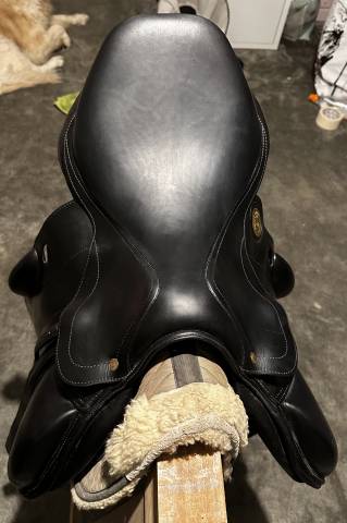 Sella mista Jean-Luc Maurel  17" - 2021