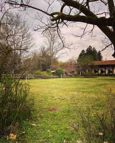 Offriamo pensione cavalli in ambiente famigliare. 