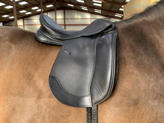 Sella da dressage Prestige Italia  18" - 2020