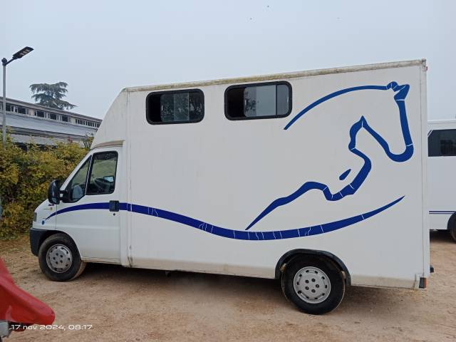 VENDO VAN 2 CAVALLI 