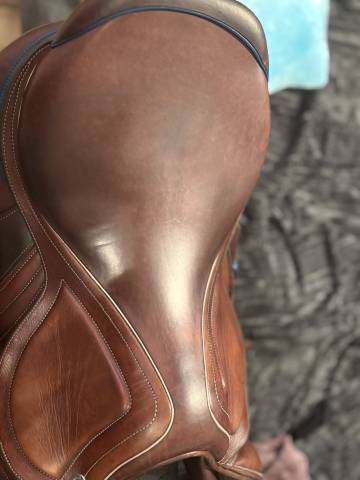 Sella da salto ostacoli CWD  17.5" - 2021