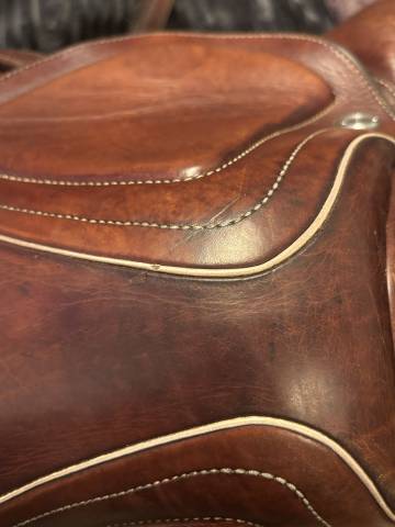 Sella da salto ostacoli CWD  17.5" - 2021