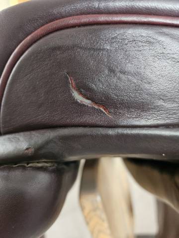 Sella da salto ostacoli CWD  17.5" - 2023