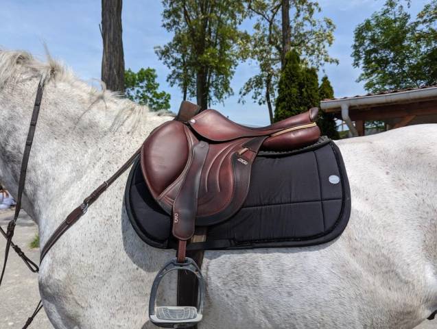 Sella da salto ostacoli CWD  18" - 2021