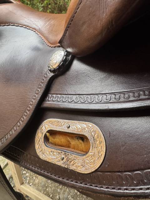 Sella western  QH 15.5" - 2022