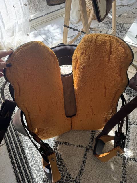 Sella western  QH 15.5" - 2022