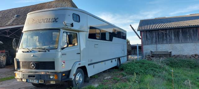 Camion per Cavalli Theault 1320 1990 Occasione