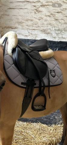 Sella da salto ostacoli Prestige Italia  17.5" - 2021