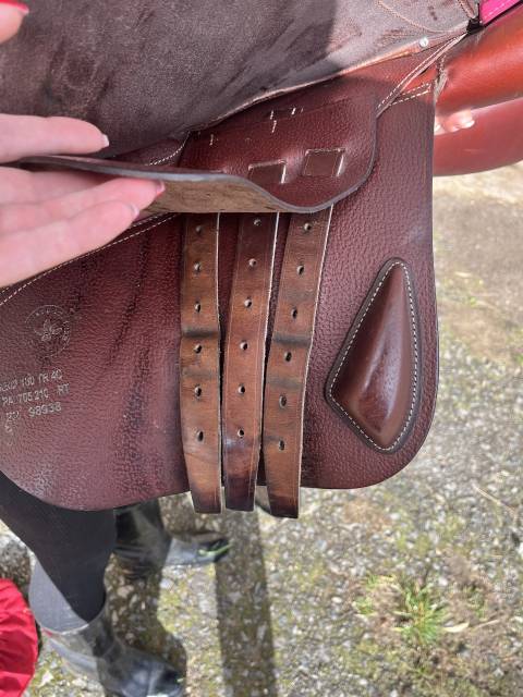 Sella mista CWD  18" - 2022