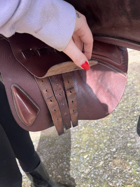 Sella mista CWD  18" - 2022