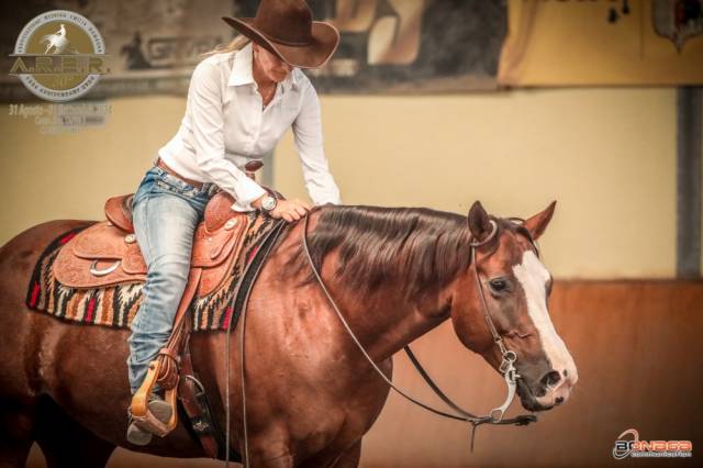 Reining horse