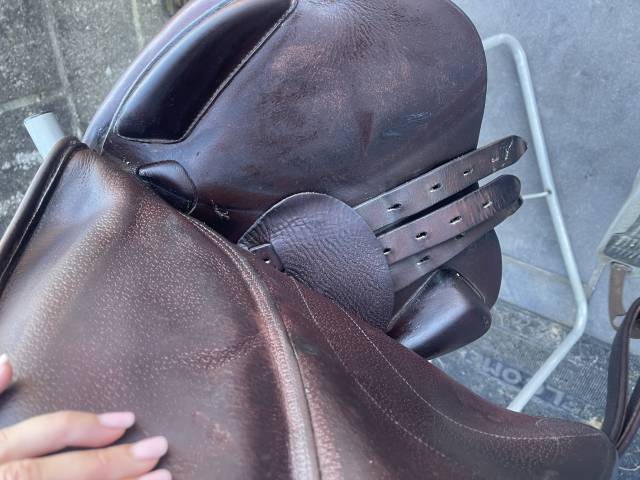 Sella da salto ostacoli Equipe  17" - 2013