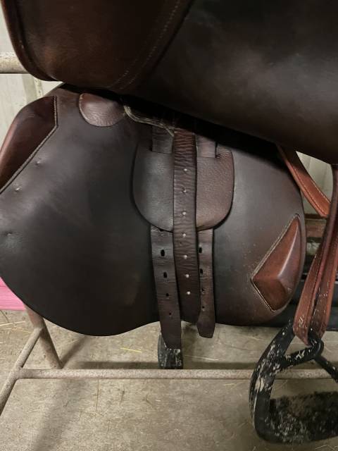 Sella da salto ostacoli Antar&egrave;s  17.5" - 2010