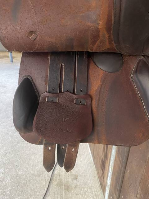 Sella da salto ostacoli  Cso 17.5" - 2024