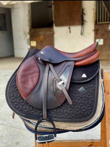 Sella mista CWD  17.5" - 2012