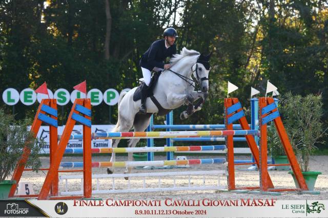 Cavallo Sella Italiano 