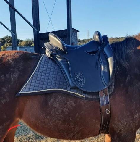 Sella spagnola Ludomar  17.5" - 2020