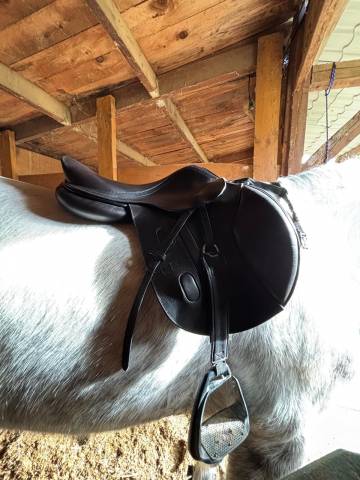 Sella da salto ostacoli GBS  16.5" - 2019