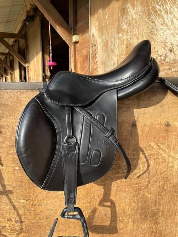 Sella da salto ostacoli GBS  16.5" - 2019