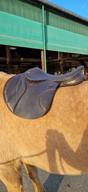 Sella da salto ostacoli Fairfax Classic Plain Flap Jump 17.5" - 2023