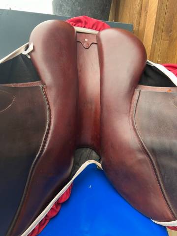 Sella da salto ostacoli CWD  17" - 2019