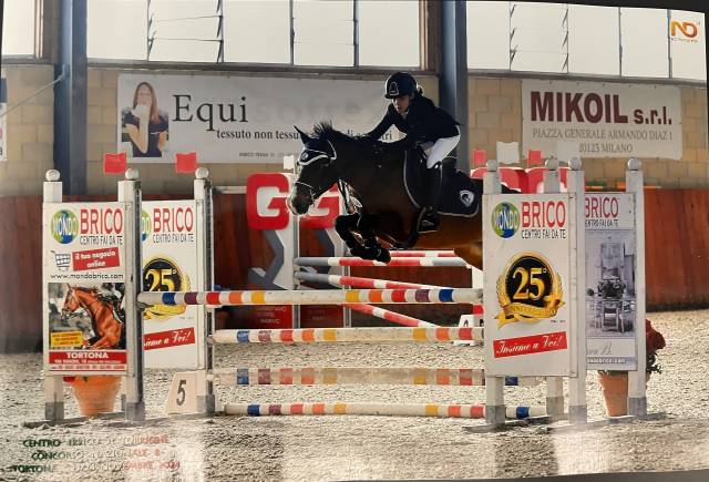 Privato vende pony da salto