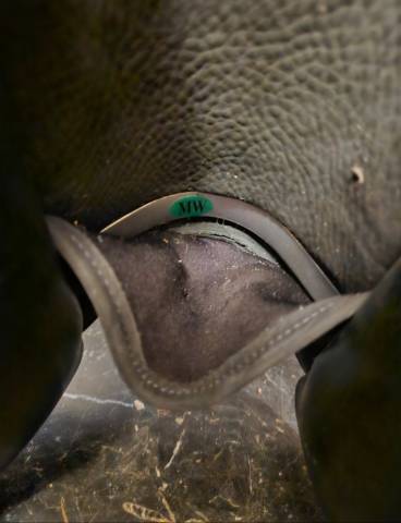 Sella da dressage Ikonic  17.5" - 2018