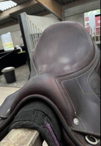 Sella da salto ostacoli Antar&egrave;s  16" - 2020