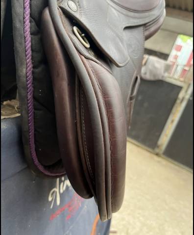 Sella da salto ostacoli Antar&egrave;s  16" - 2020