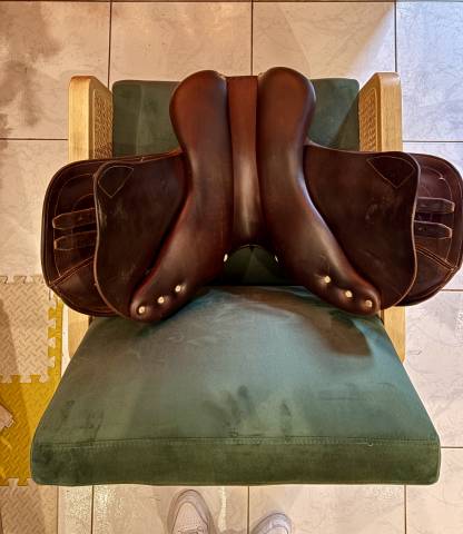 Sella da salto ostacoli Antar&egrave;s  16" - 2020