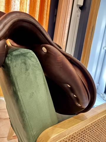 Sella da salto ostacoli Antar&egrave;s  16" - 2020