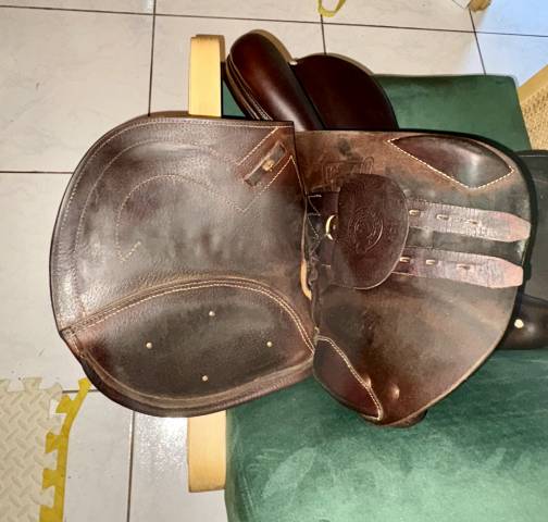 Sella da salto ostacoli Antar&egrave;s  16" - 2020