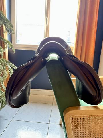 Sella da salto ostacoli Antar&egrave;s  16" - 2020