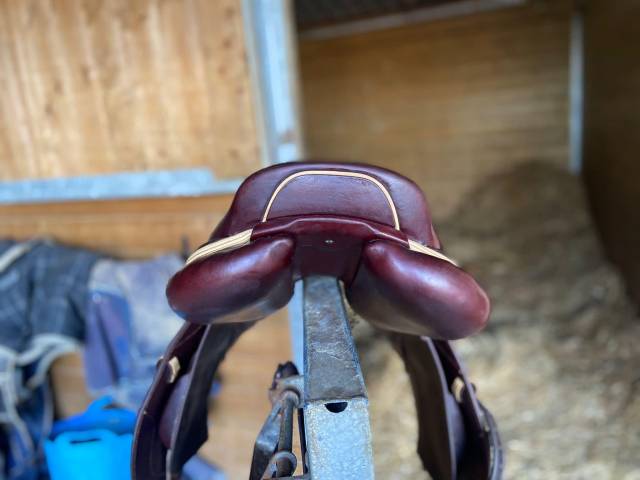 Sella da salto ostacoli CWD  16.5" - 2019