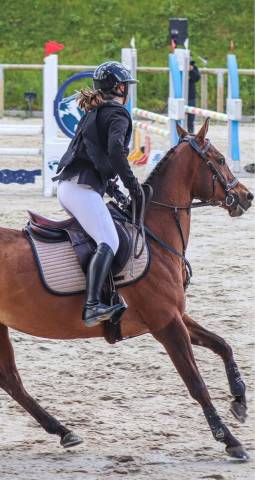 Sella mista GBS  17.5" - 2016