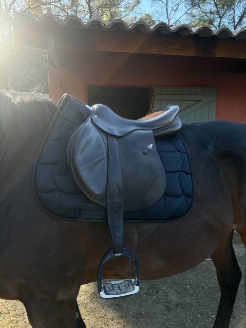 Sella mista Equipe  17.5" - 2020