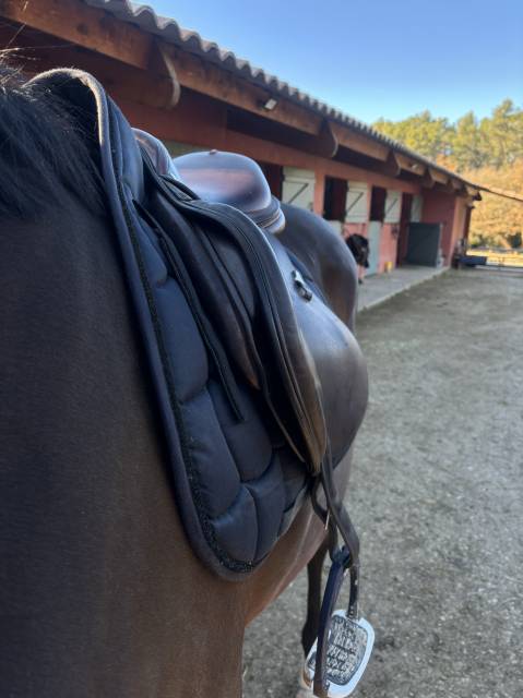 Sella mista Equipe  17.5" - 2020