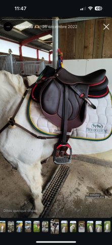 Sella da cross Devoucoux  17.5" - 2022