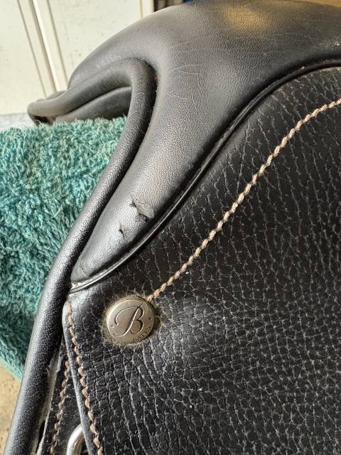 Sella mista Bates ELEVATION NG DS RD 17" - 2016